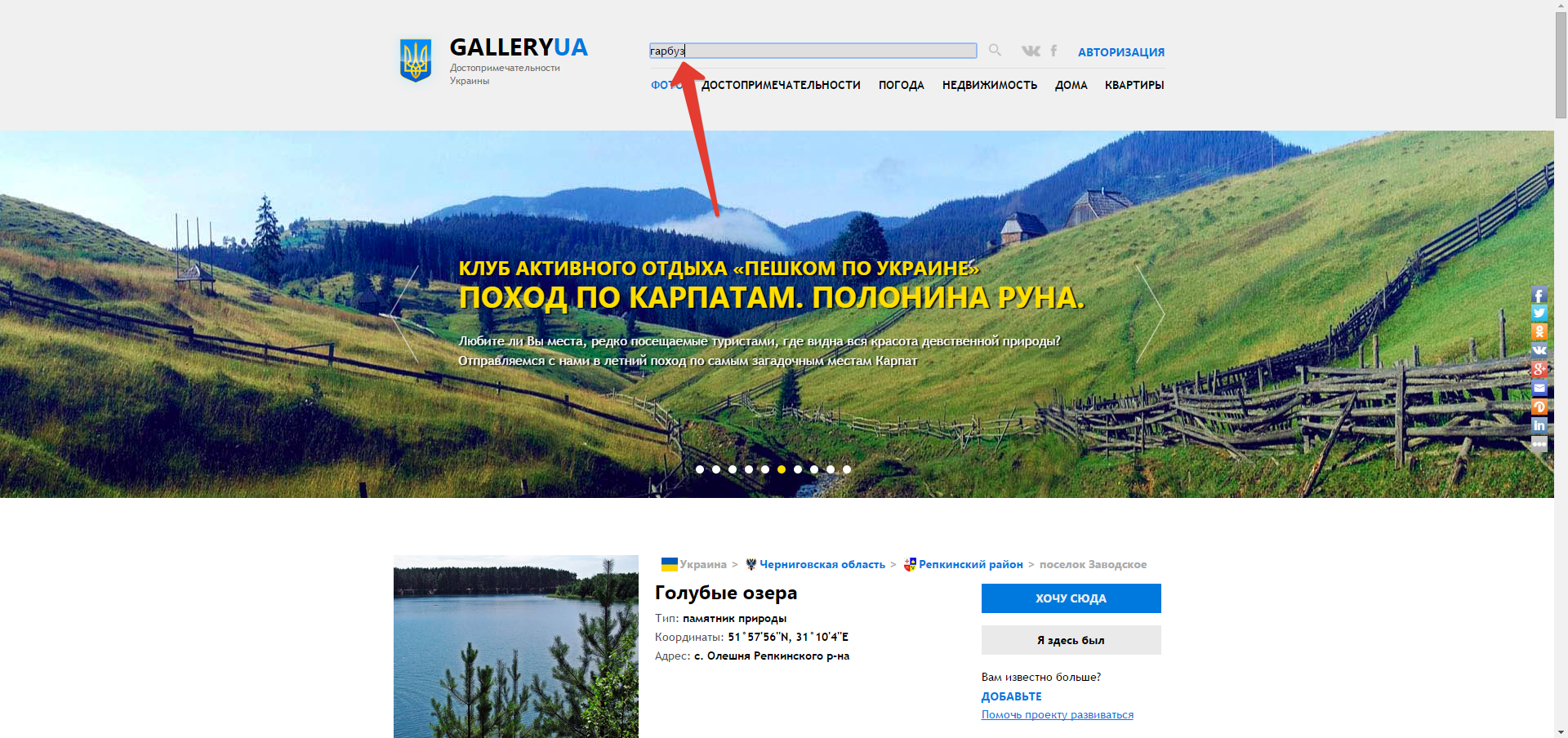 поиск на сайте